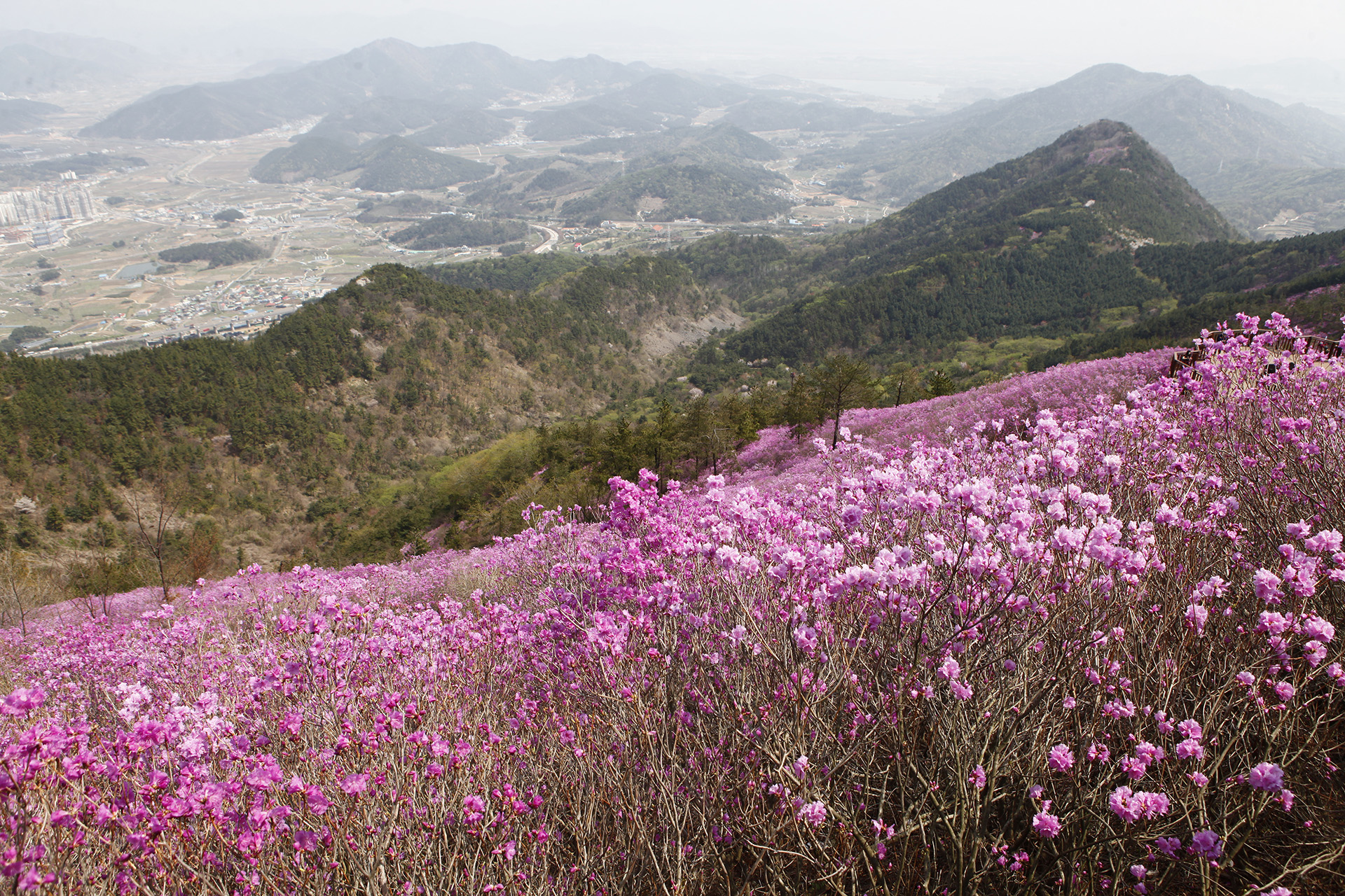 천주산